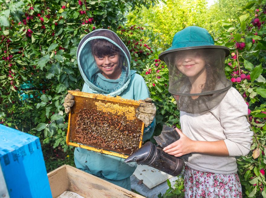 Face to Face Connections: Honeybee family adventure (Surrey, Lower Mainland)