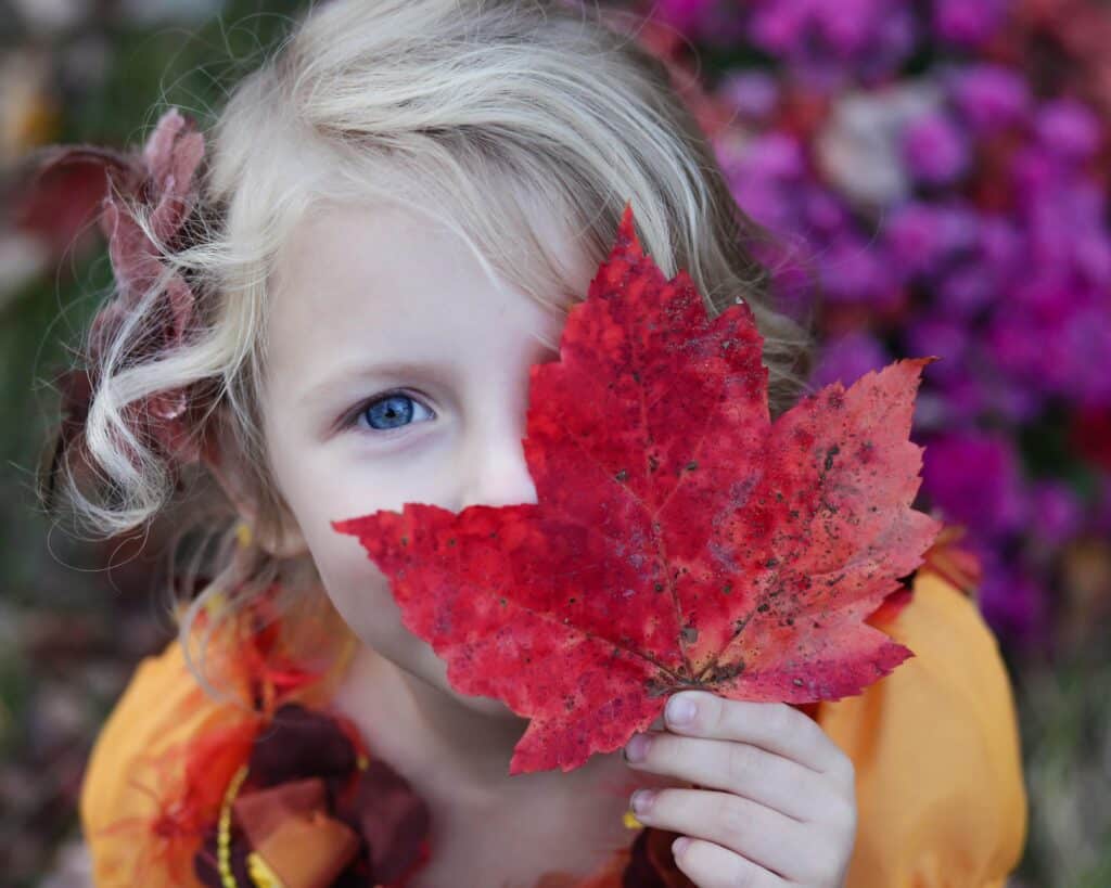 A little blonde girl covering half of her face with a maple leaf.