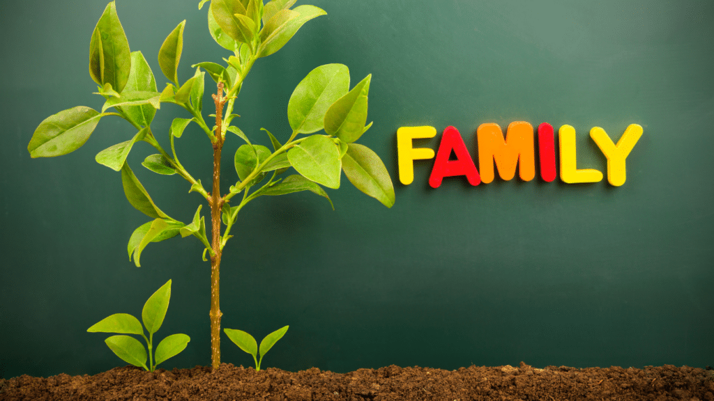 An image featuring a green plant on the left and the word 'family' on the right.