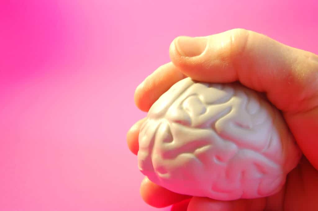 A hand grasping a miniature plastic brain model.