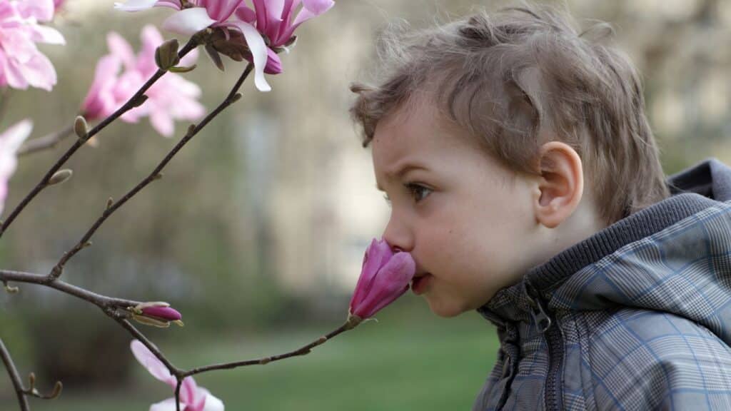 Kid smelling a flower.