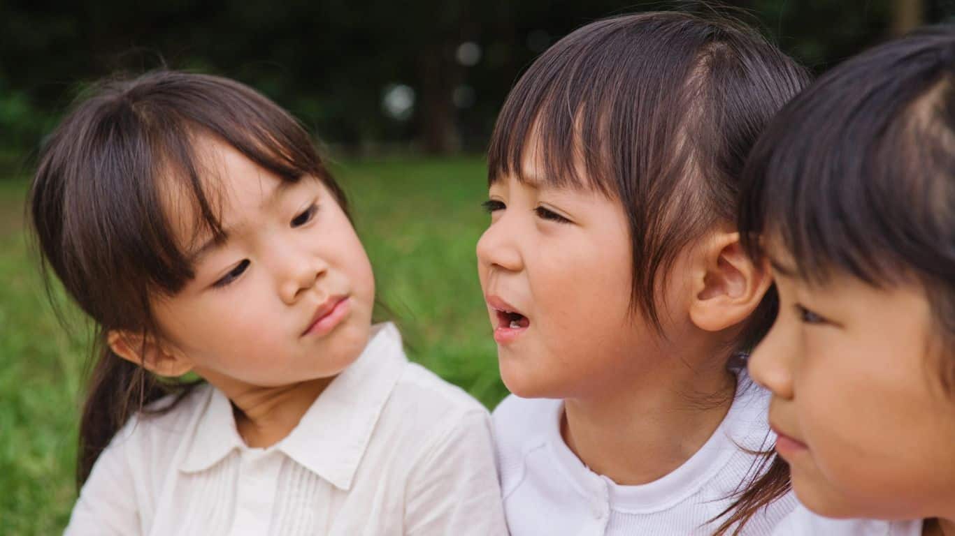 Perspectives: Adoption in Japan